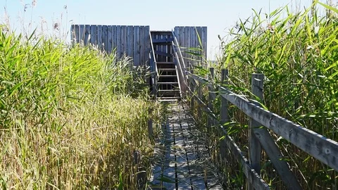 Observation tower Stock Footage 95276581