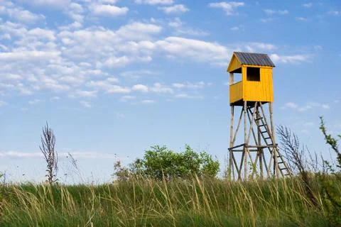 Observation tower of the forestry Stock Photos