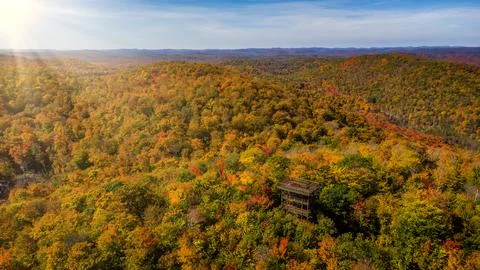 Observation tower in middle of forest during autumn, Ripon, Quebec, Canada Stock Photos