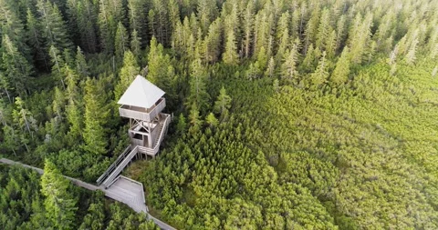 Observation tower in peat bog at Lovrenc Lakes aerial view Stock Footage 327071764