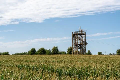 Observation tower rising above a cornfield, offering visitors an elevated Stock Photos