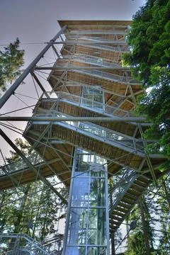 Observation tower trees elevator treetop path sunny Stock Photos