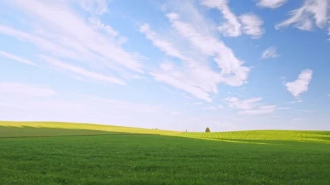 Observe the Serene Timelapse of Flowing Clouds, a Majestic Tree, and Lush Gre Stock Footage 309186347