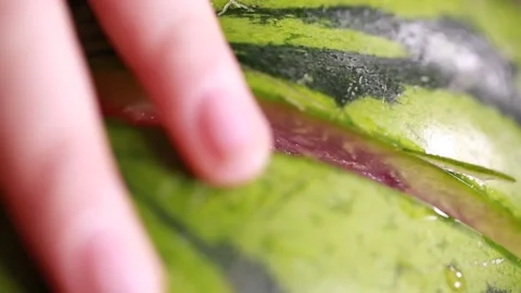 Observe watermelon cross section (4) Stock Footage 202234581