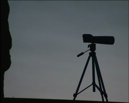 Observer Stock Footage 590884