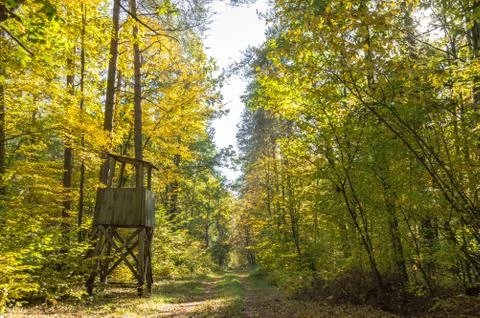 Observer's booth in the forest Stock Photos