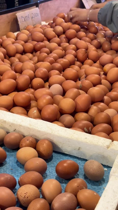 Observing the diligent selection and arrangement of farm-fresh brown eggs w.. Video stock 337285437