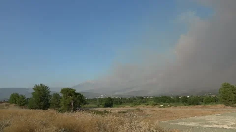 Observing heavy smoke from wildfire rising over mountain forest zoom in Stock-Footage 342257820