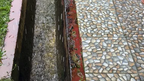 Observing a Narrow Channel of Water Flow beside a Pebble Path Stock Footage 325292319