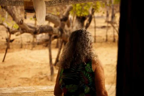 Observing Fotos de archivo