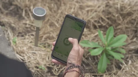 Observing Plants using Mobile Smart App Technology Phone Stock Footage 168463315