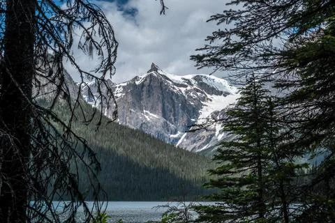 Observing a steep peak through the trees at Emerald lake Stock Photos