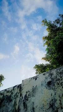 Observing the sunlight filtering through the trees in a village. Stock Photos