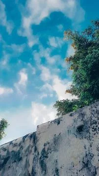 Observing the sunlight filtering through the trees in a village. Stock Photos