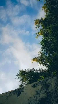 Observing the sunlight filtering through the trees in a village. Stock Photos