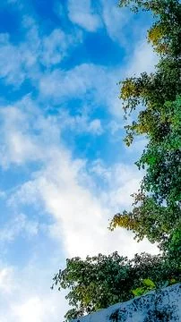 Observing the sunlight filtering through the trees in a village. Foto stock