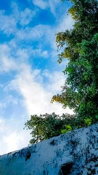 Observing the sunlight filtering through the trees in a village. Stock Photos