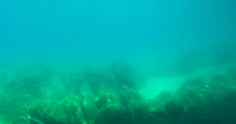 Observing under water land. Real footage, sea. Not aquarium. Stock Footage