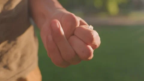 Obsessive Man Repeatedly Counting Small Stones In Tranquil Park Setting, Focus Video stock 327154745