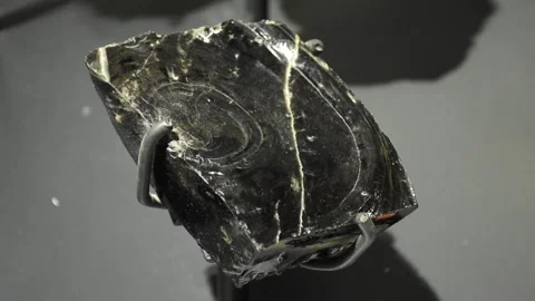 An obsidian stone piece on exhibition Stock Footage 110839596