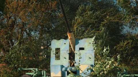 .Obsolete, abandoned, and rusty combat guns stand amidst the natural landsc.. Stock-Footage 345592548