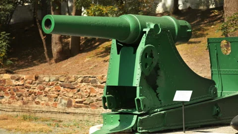 Obsolete, abandoned, and rusty combat guns stand amidst the natural landsca.. Stock-Footage 346319582