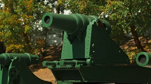Obsolete, abandoned, and rusty combat guns stand amidst the natural landsca.. Stock-Footage 346324672