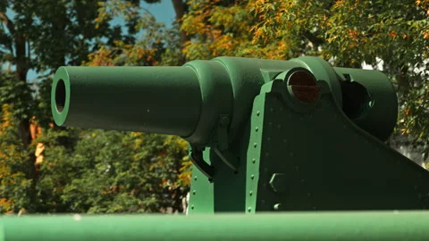 Obsolete, abandoned, and rusty combat guns stand amidst the natural landsca.. Stock-Footage 346325066