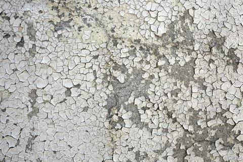Obsolete backdrop of a cement wall with sun burned while paint, peeling stu.. Stock Photos