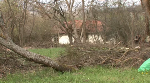 Obsolete house in the woods Stock Footage 38295791