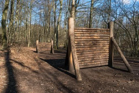 Obstacles in the forest Stock Photos