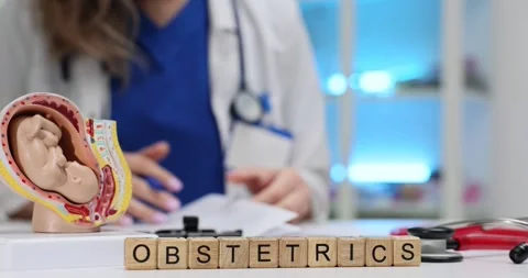 Obstetrics on blocks on table near model of fetus and doctor Stock Footage 314109750