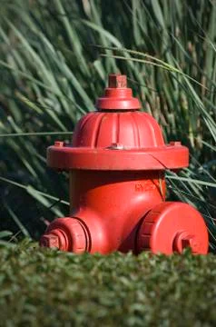 Obstructed fire hydrant Stock Photos