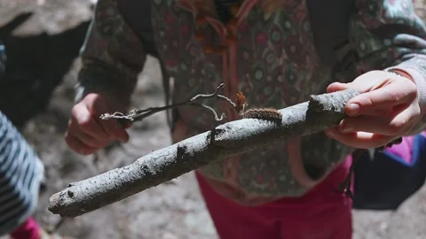 Obtaining independent knowledge by children in self-isolation. Forest School. Vídeos de archivo 138248946