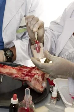 Obtaining a sample Stock Photos