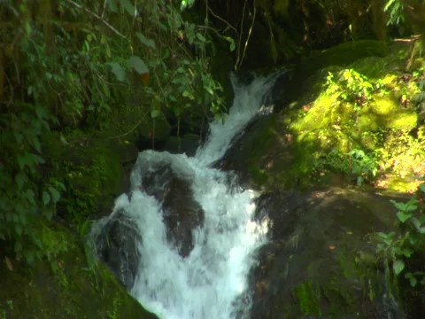 Obudu Water Fall Stock Footage 45901373