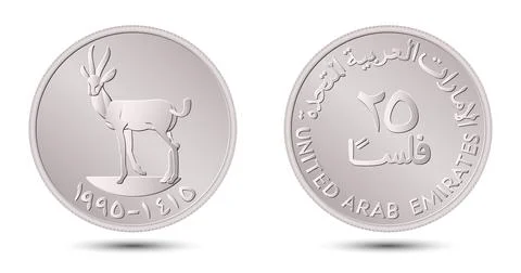 Obverse and reverse of twenty five fils UAE coin on white background. Vector ill Stock Illustration