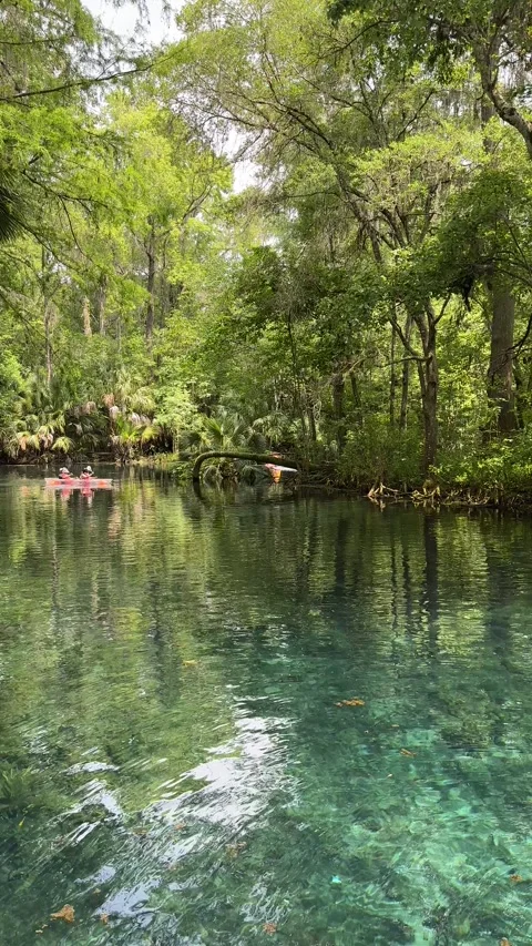 Ocala, Florida, USA - 05 17 2024: Silver Springs State Park Stock Footage 320808596