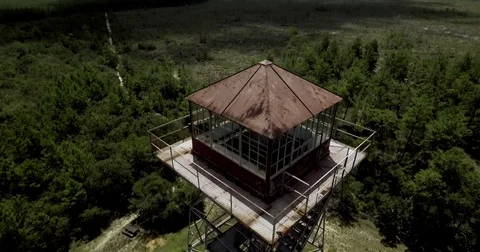 Ocala National Forest Fire Tower Video stock 83925519