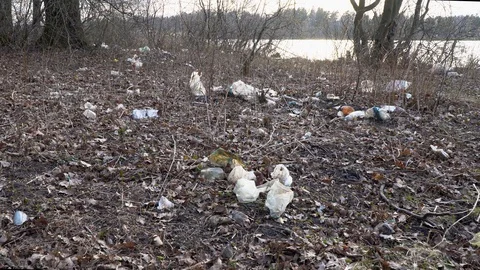 Occasional garbage dump polluting the surrounding nature, the grove by the la Stock Footage 128097190