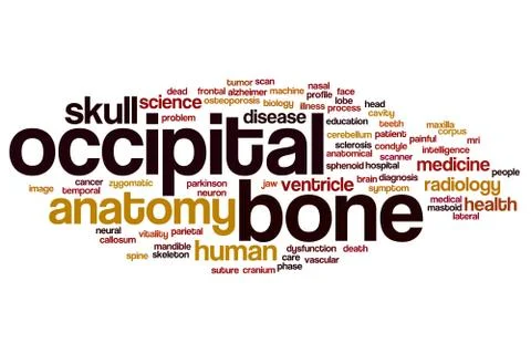 Occipital bone word cloud Stock-Illustration