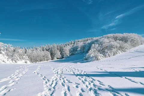Occitan snow Stock Photos