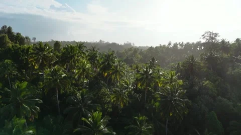 OCEAN 27 Stock Footage 297718848