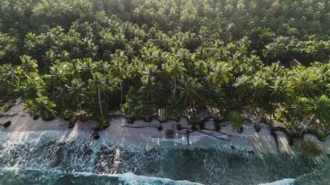 OCEAN 31 Stock Footage 297729021