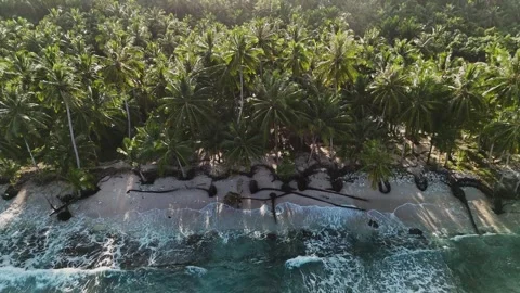 OCEAN 32 Stock Footage 297729023