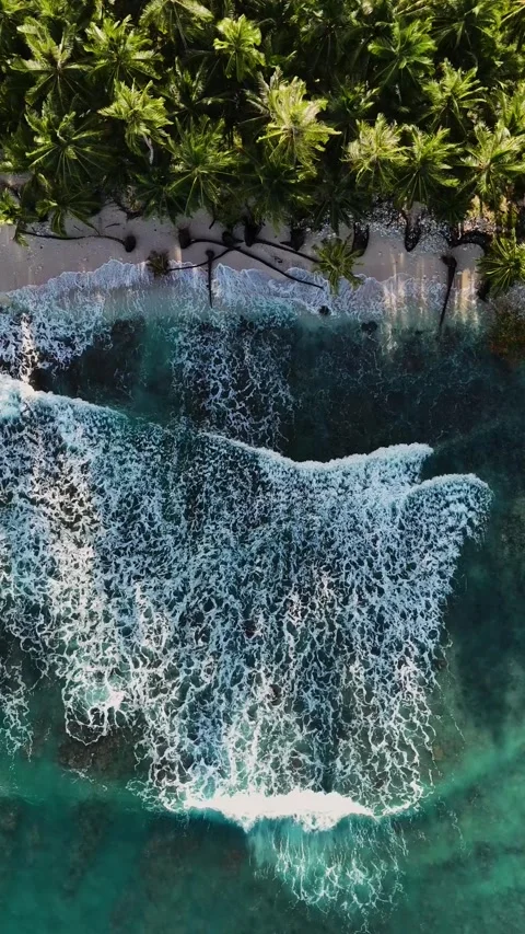 OCEAN 34 Stock Footage 297726163