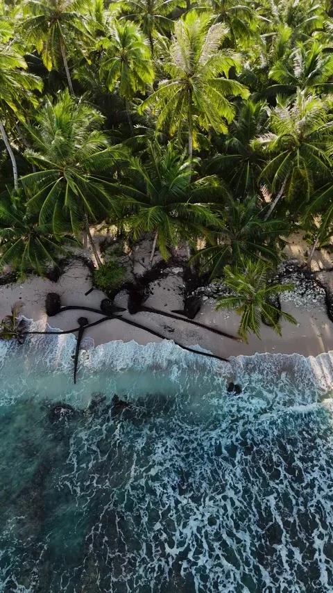 OCEAN 35 Stock-Footage 297729451