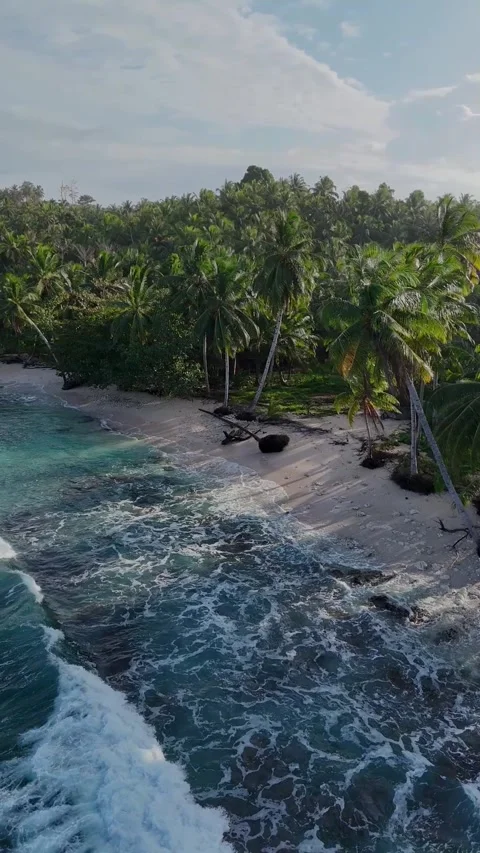 OCEAN 36 Stock Footage 297724362