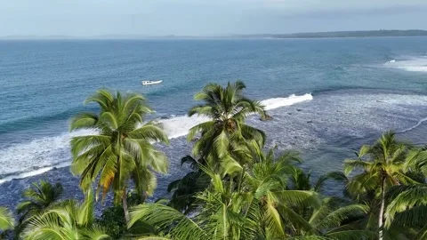 OCEAN 39 Stock Footage 297724941