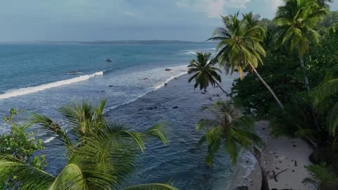 OCEAN 40 Stock-Footage 297729479